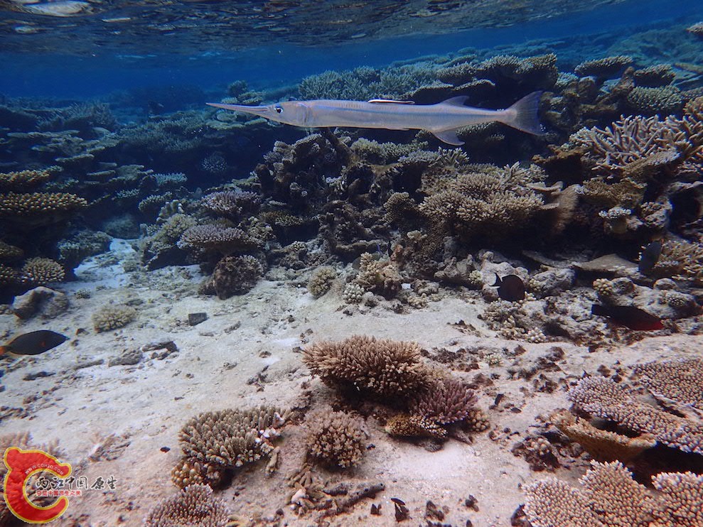 PA290623.JPG