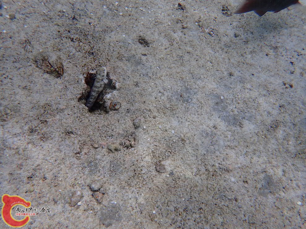PA290634.JPG