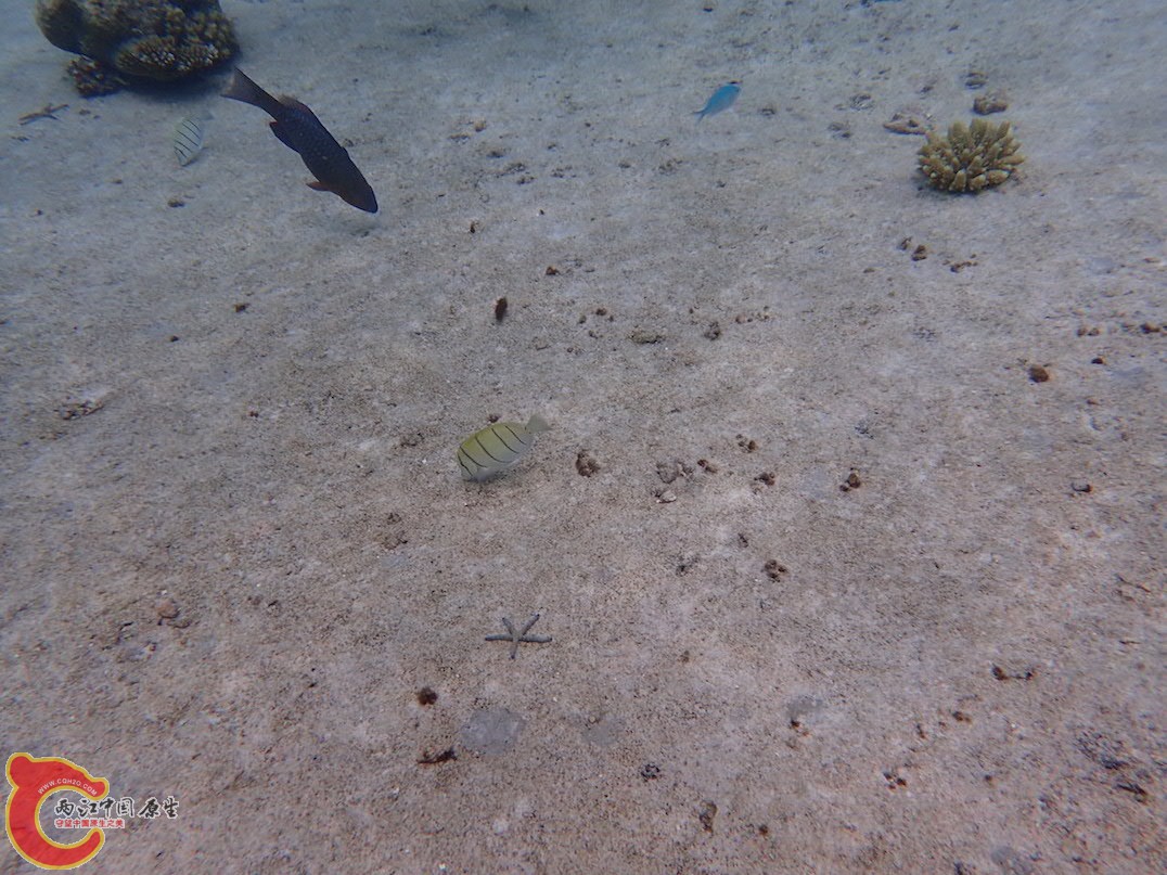 PA290650.JPG