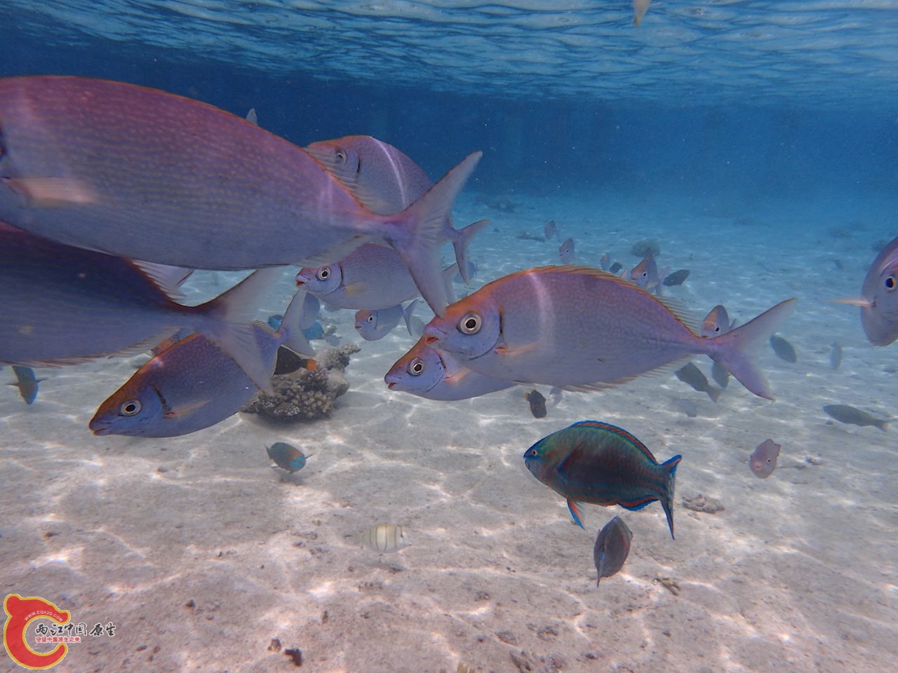 PA290676.JPG