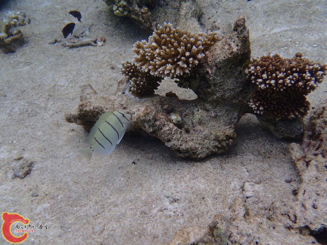 PA290710.JPG