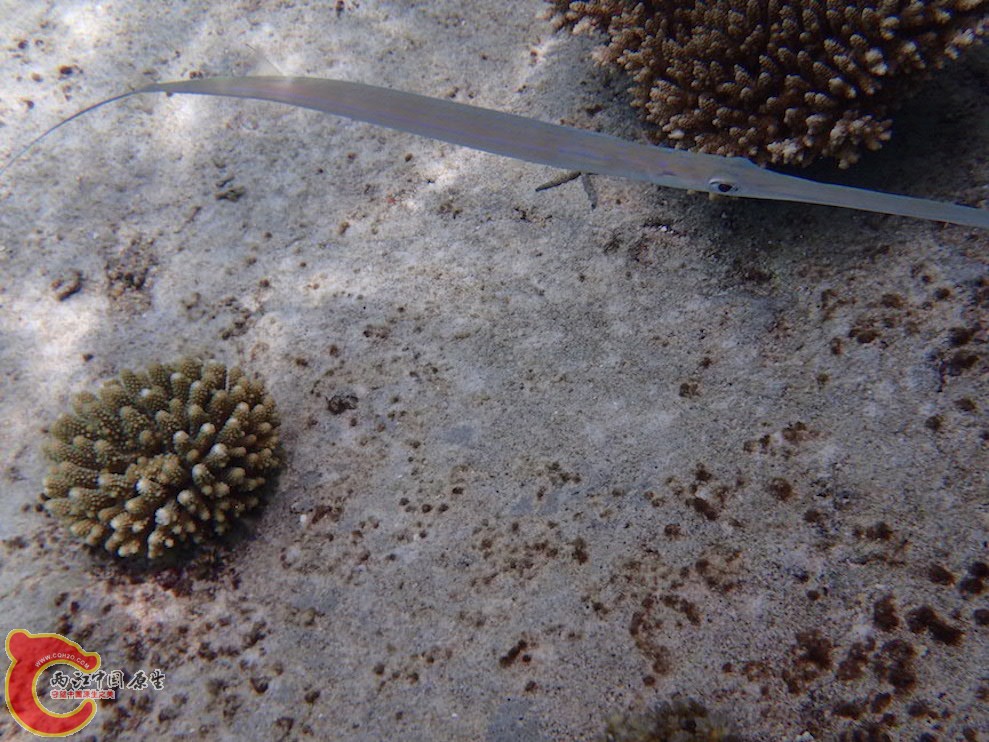 PA290723.JPG