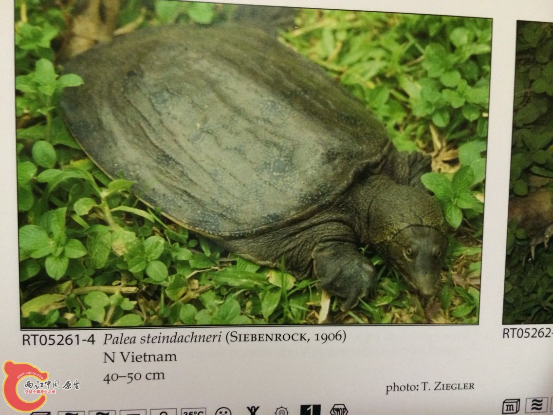 真山瑞1.jpg