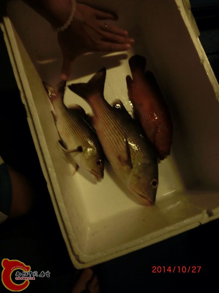 QQ图片20150305093959.jpg