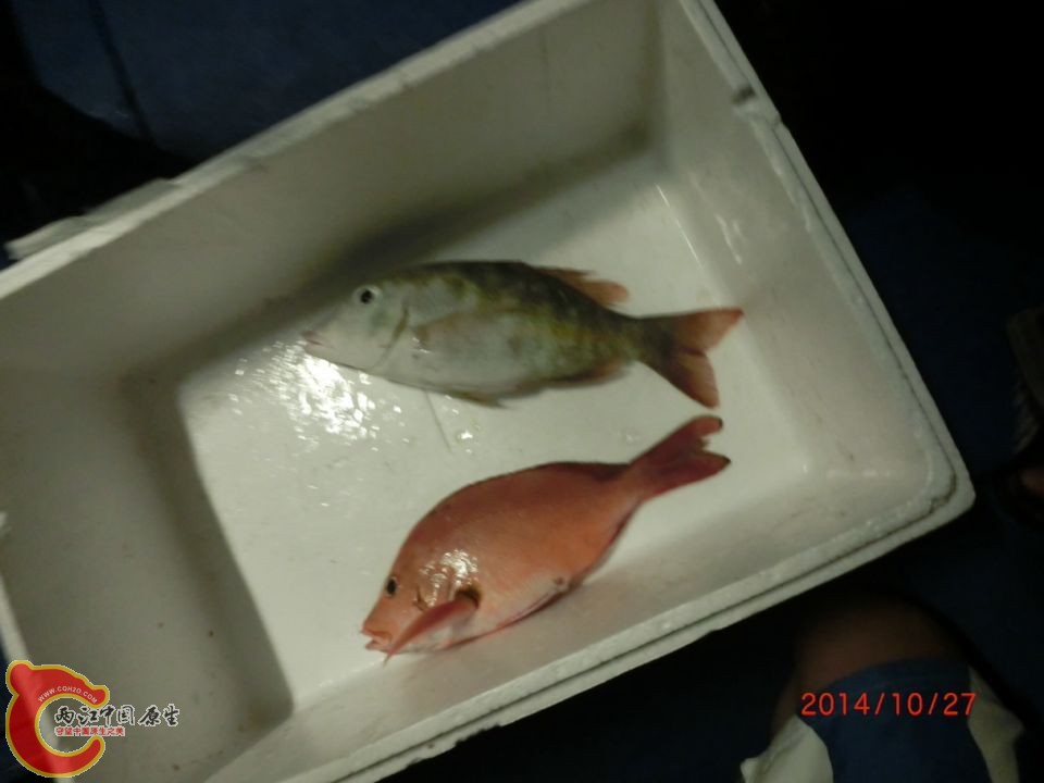 QQ图片20150305094005.jpg