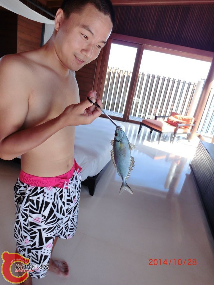 QQ图片20150305094028.jpg
