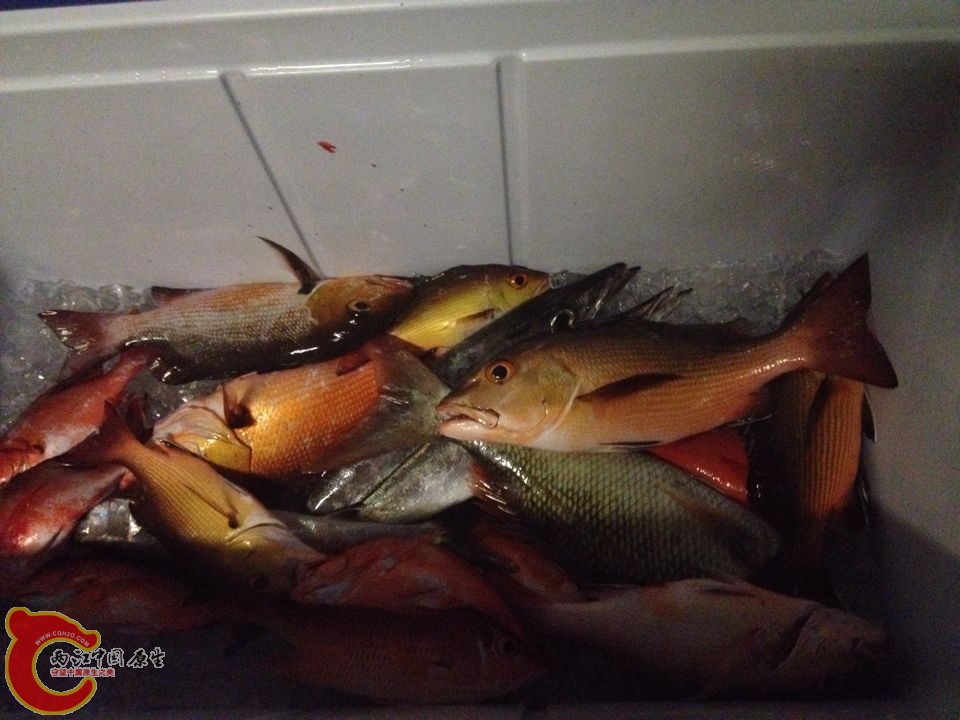 QQ图片20150305094123.jpg
