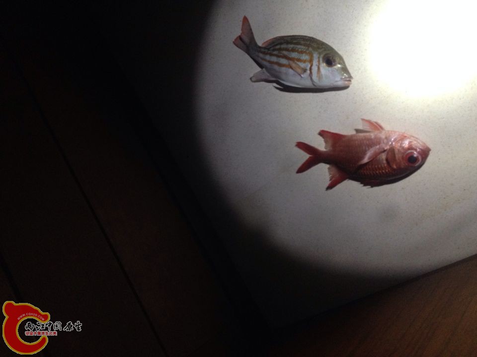 QQ图片20150305094144.jpg