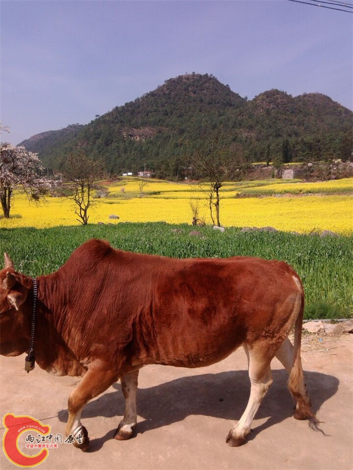 QQ图片20150305103603.jpg