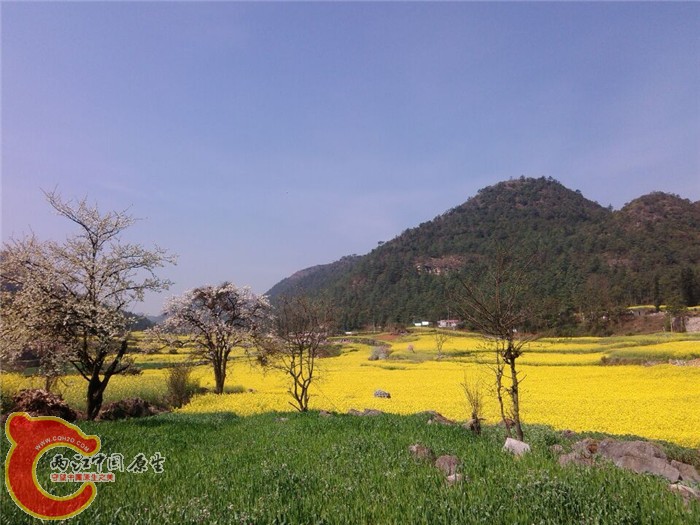 QQ图片20150305103608.jpg