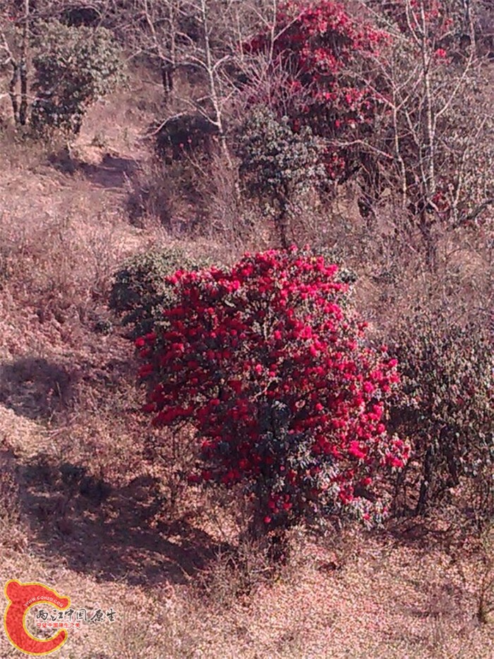 QQ图片20150305103628.jpg