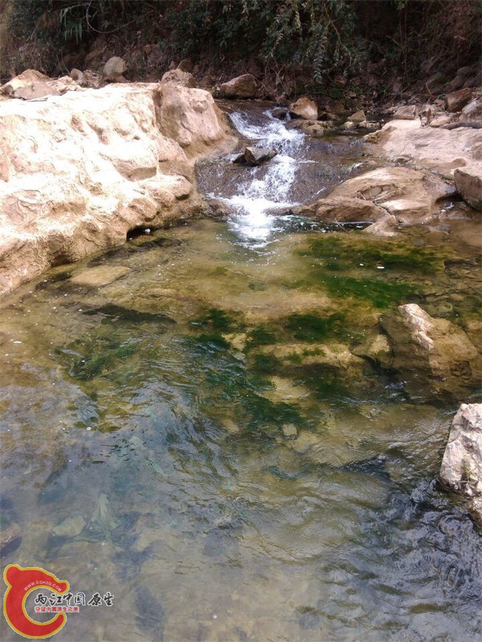 QQ图片20150305103651.jpg
