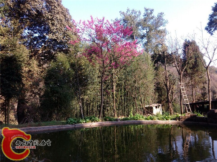 QQ图片20150305102529.jpg