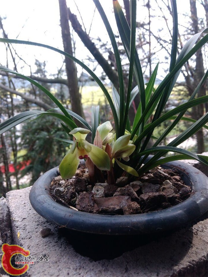 QQ图片20150305102707.jpg