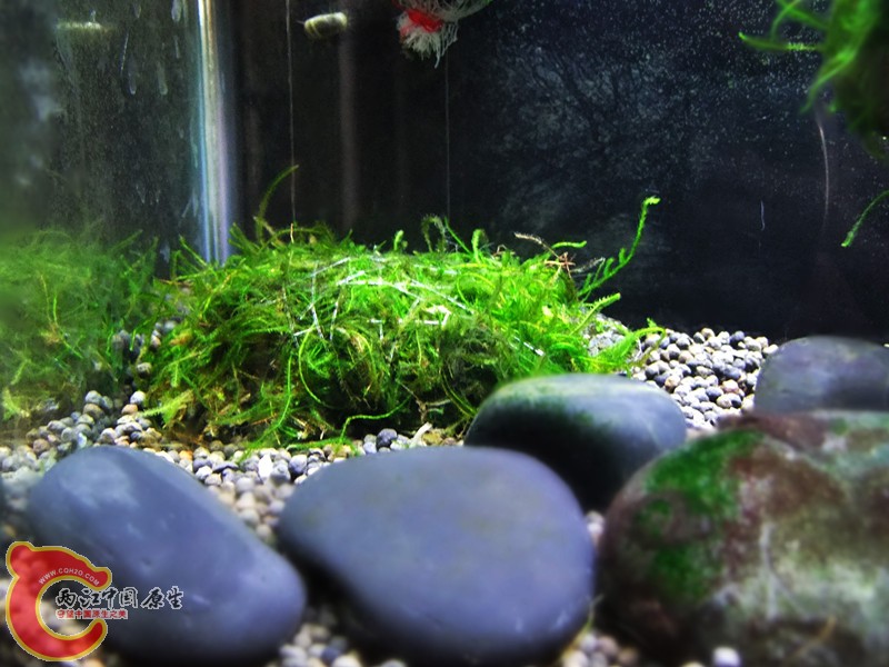 DSCF5007.JPG