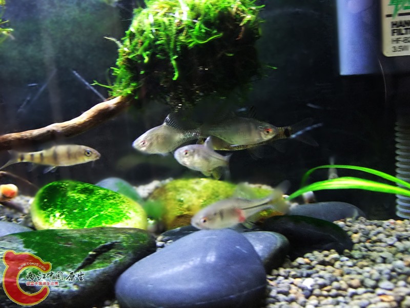 DSCF5008.JPG