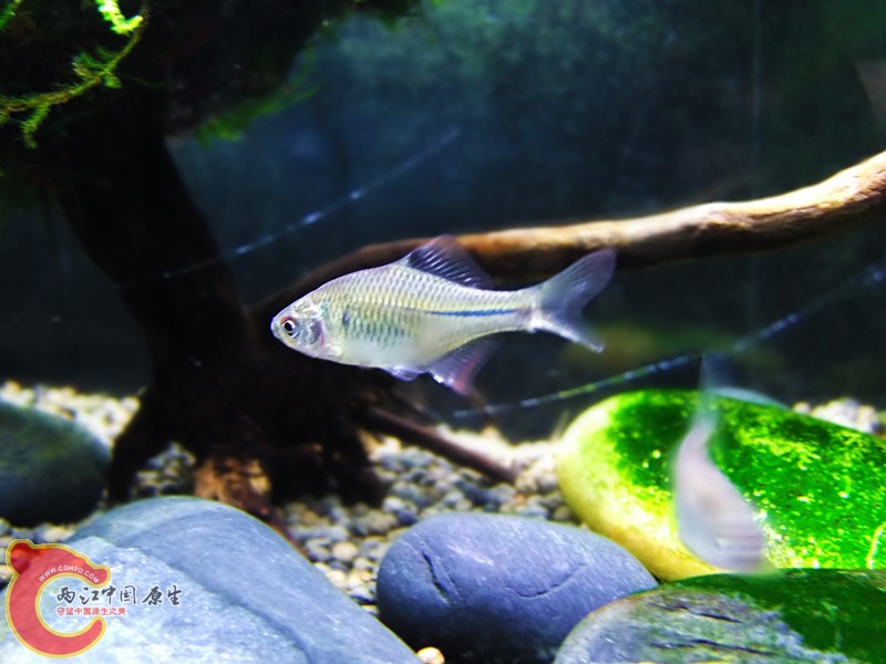 DSCF5028.JPG