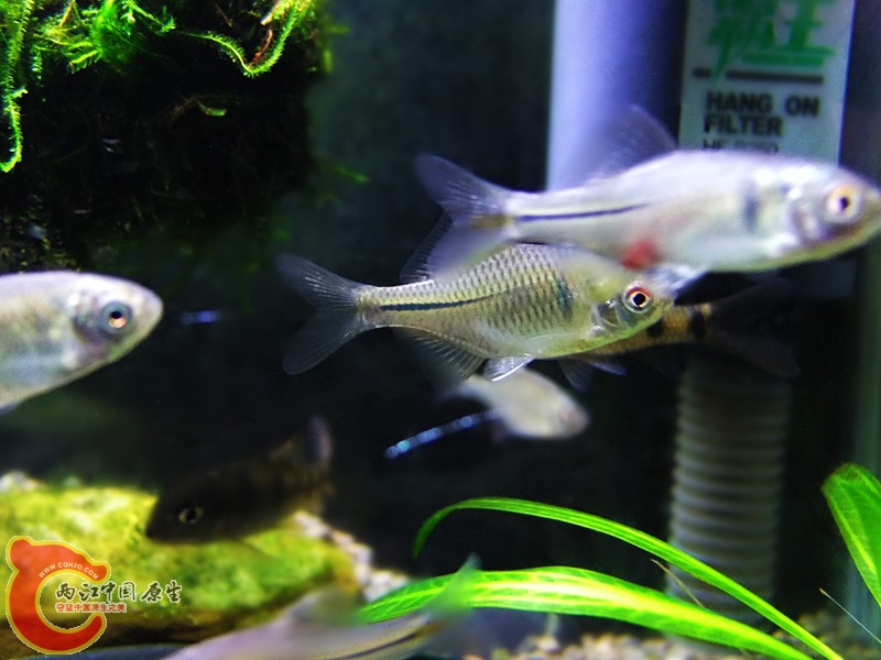 DSCF5030.JPG