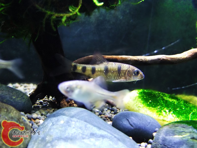 DSCF5032.JPG