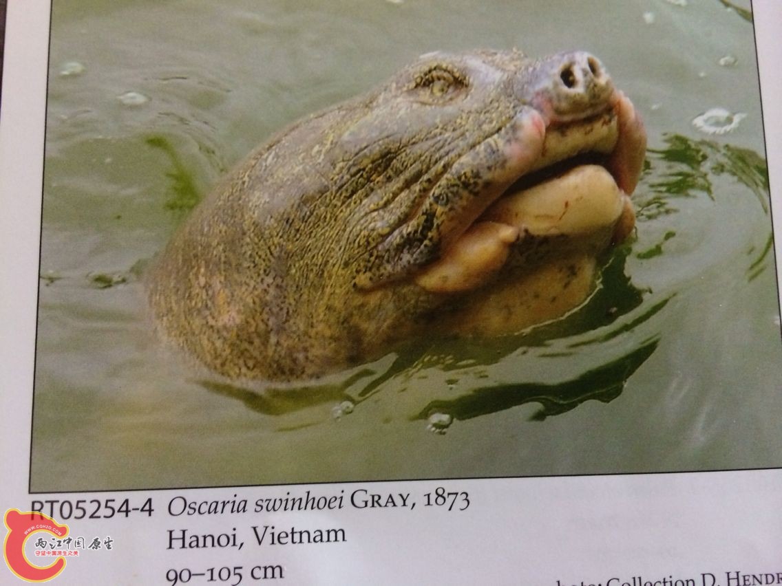 书2.jpg