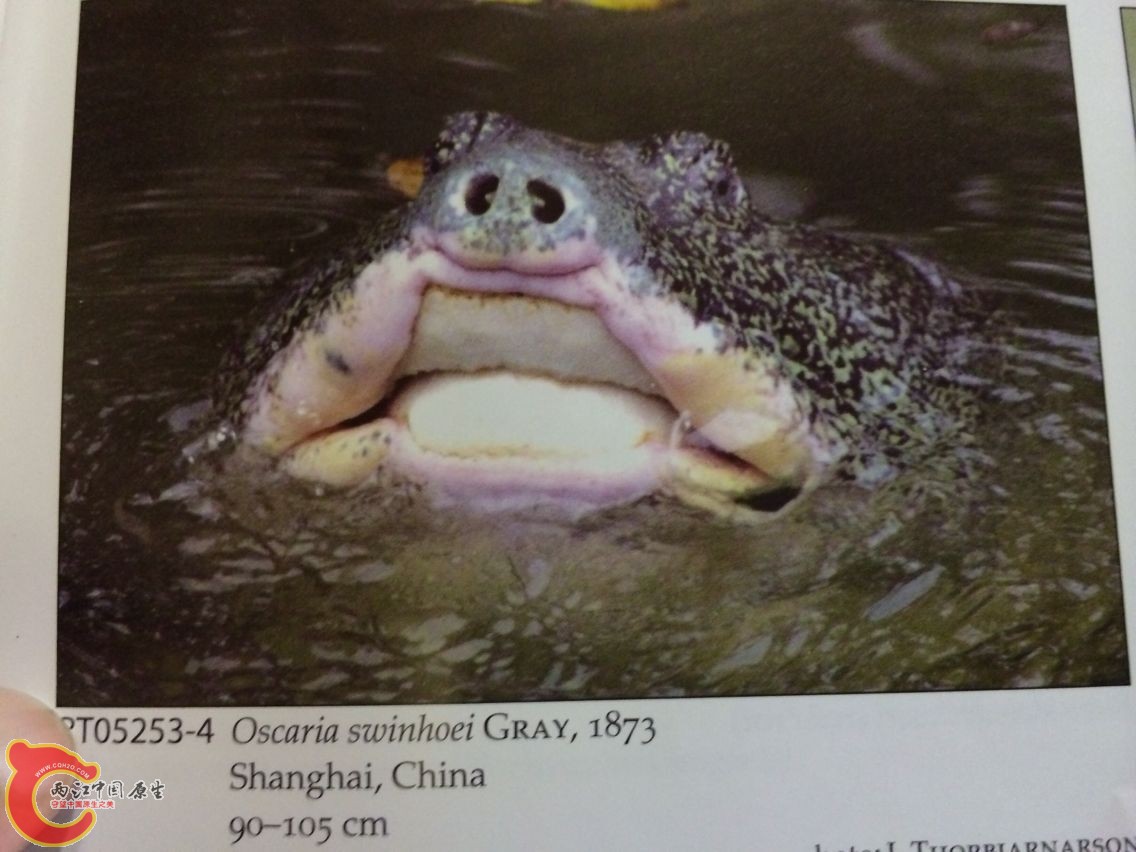 书4.jpg