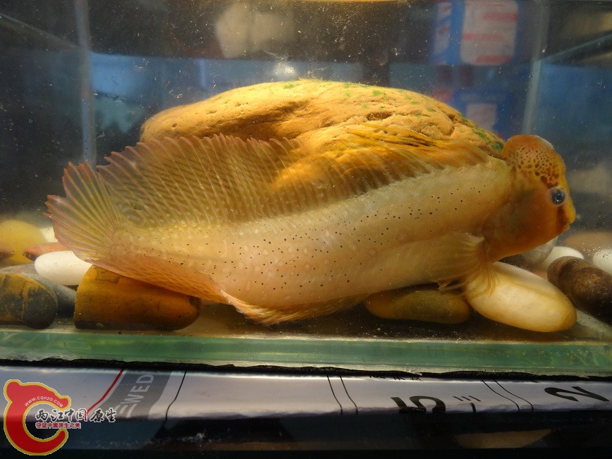 DSC08982.jpg