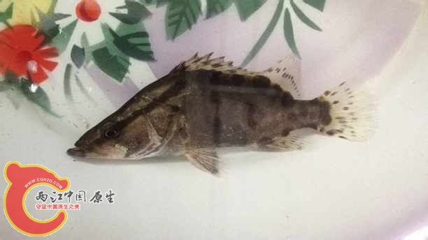 QQ图片20150307085003.jpg