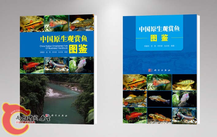 QQ截图20150310213110.jpg