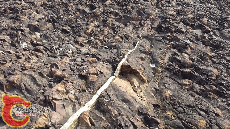 20150313_085228.jpg