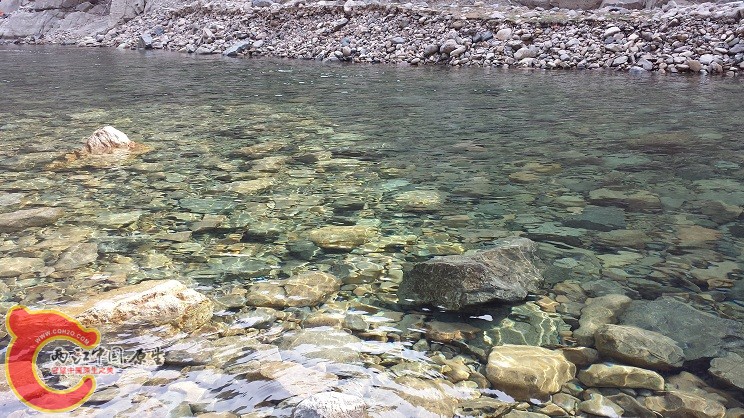 20150313_092634.jpg