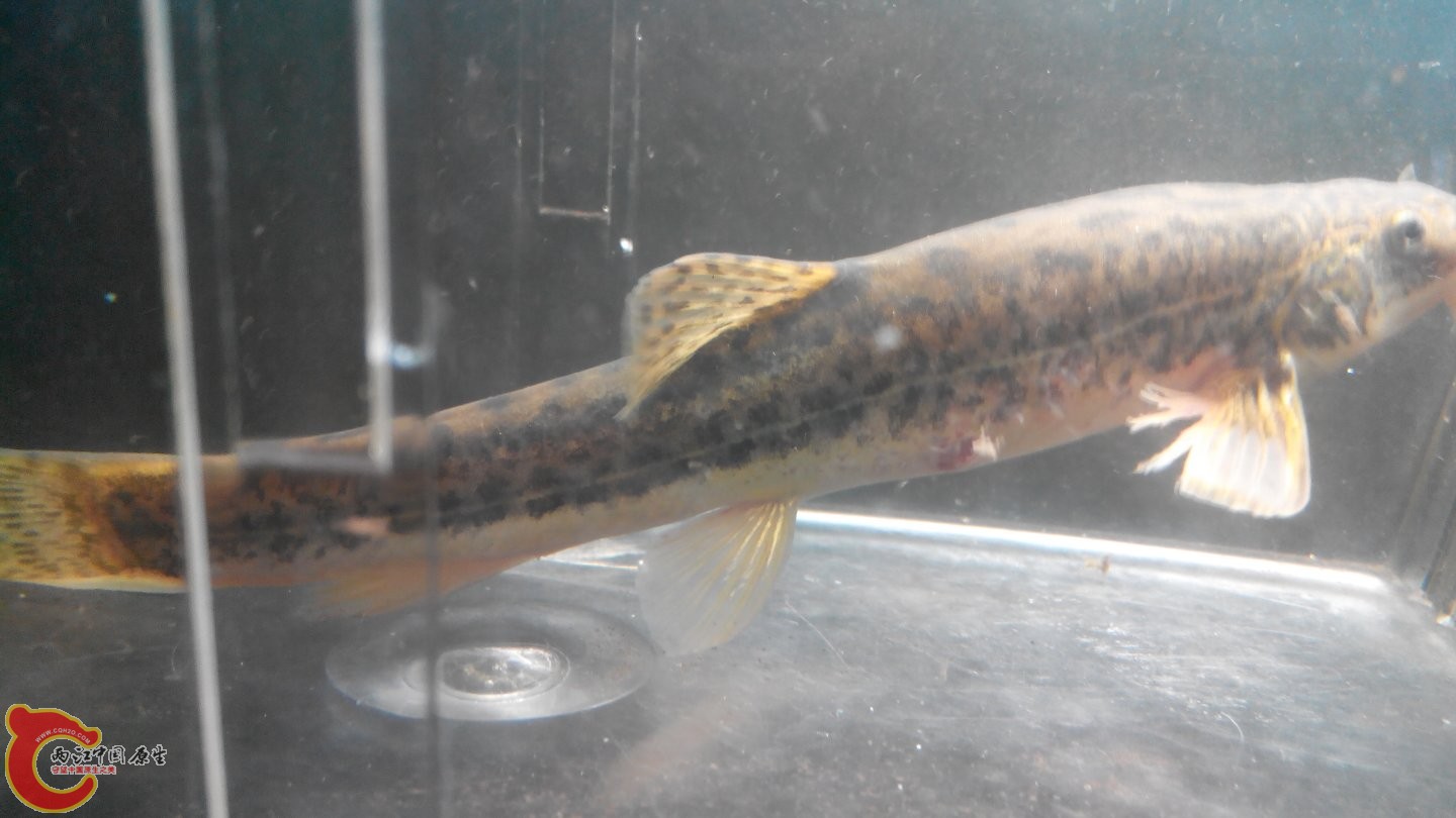 2015315001745.jpg
