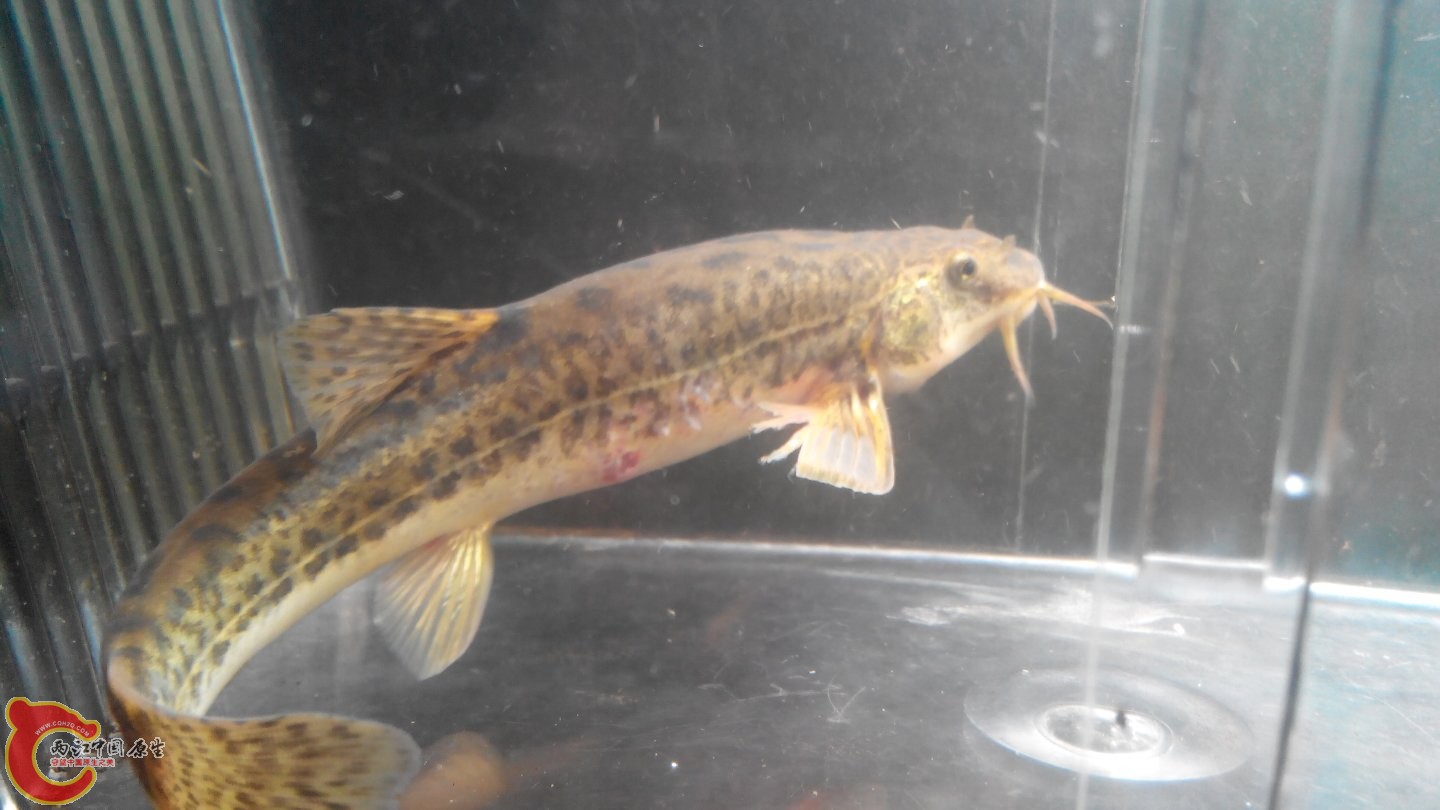 2015315001759.jpg