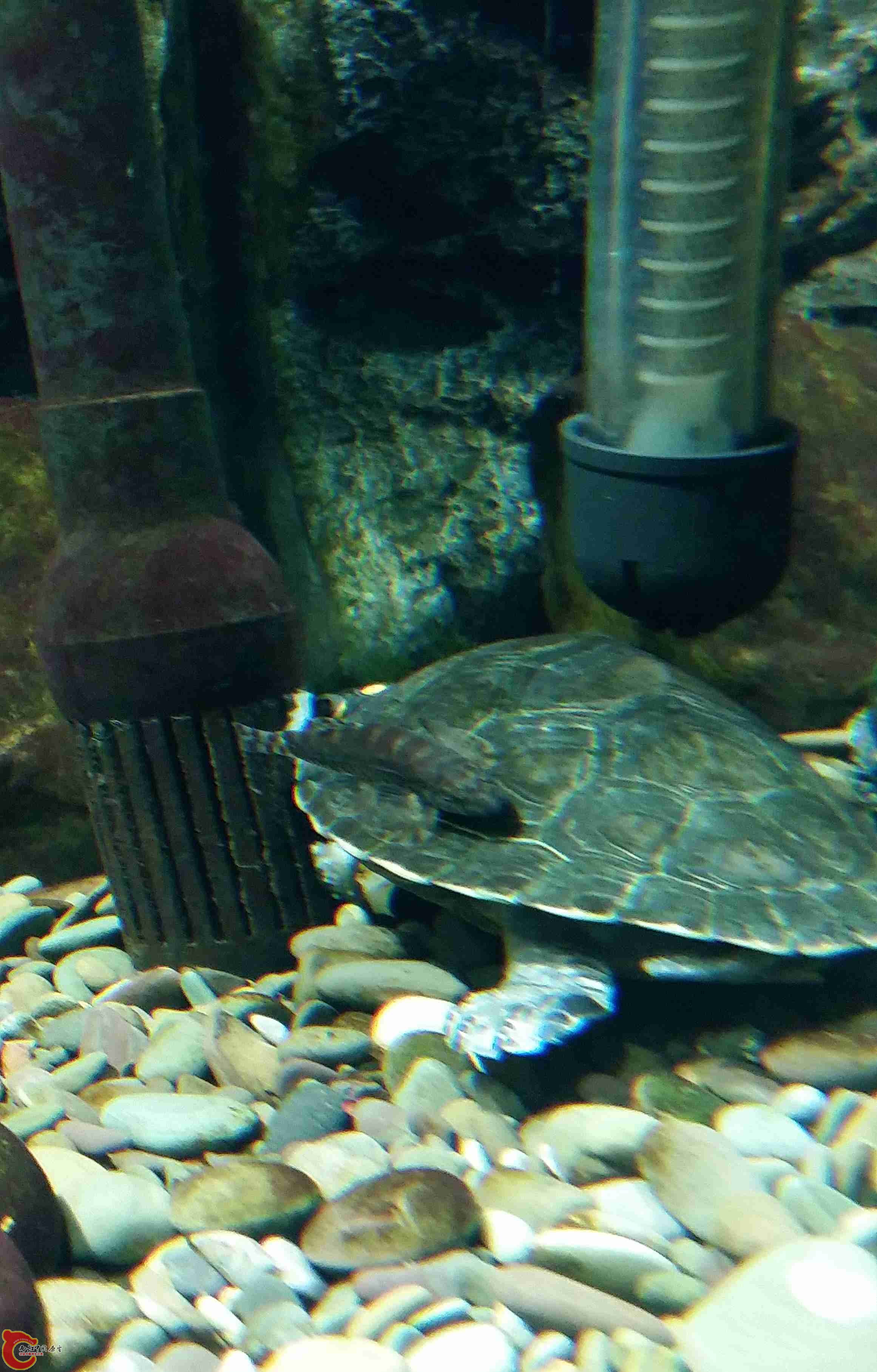 20150311_203500.jpg