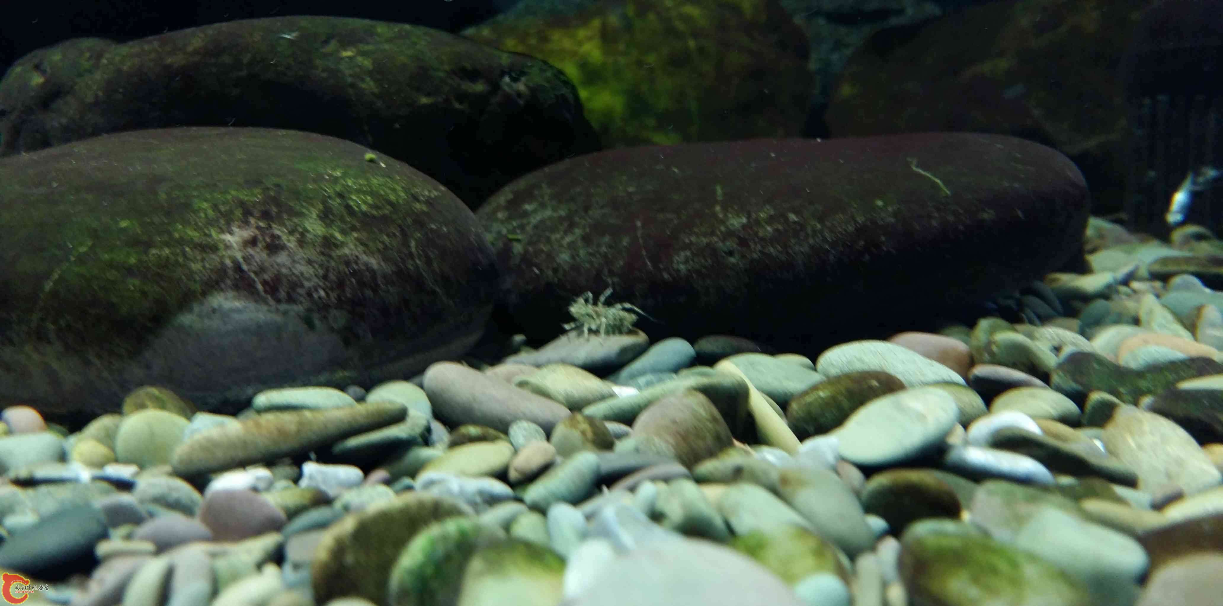 20150312_164820.jpg