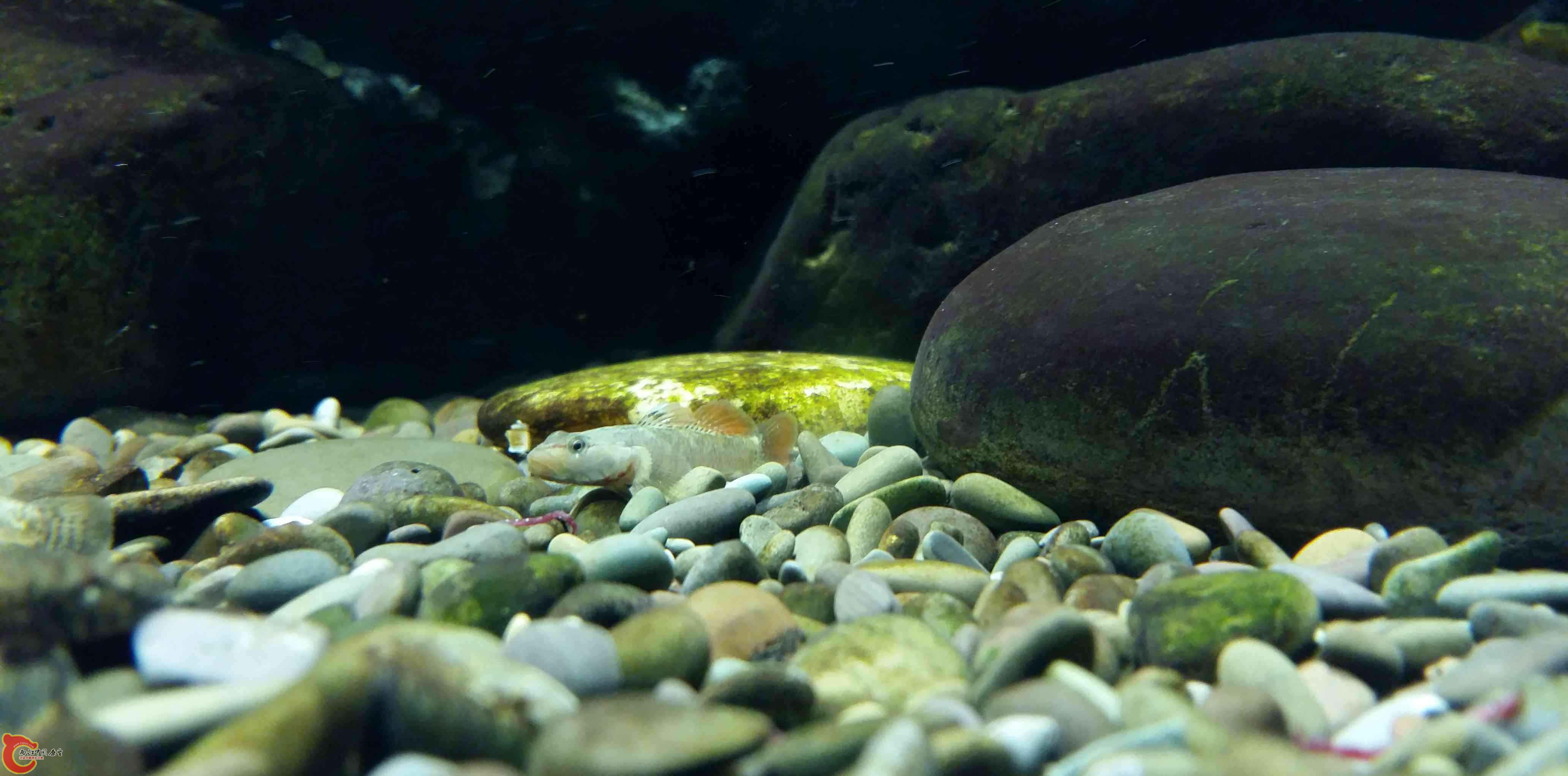 20150315_193214.jpg