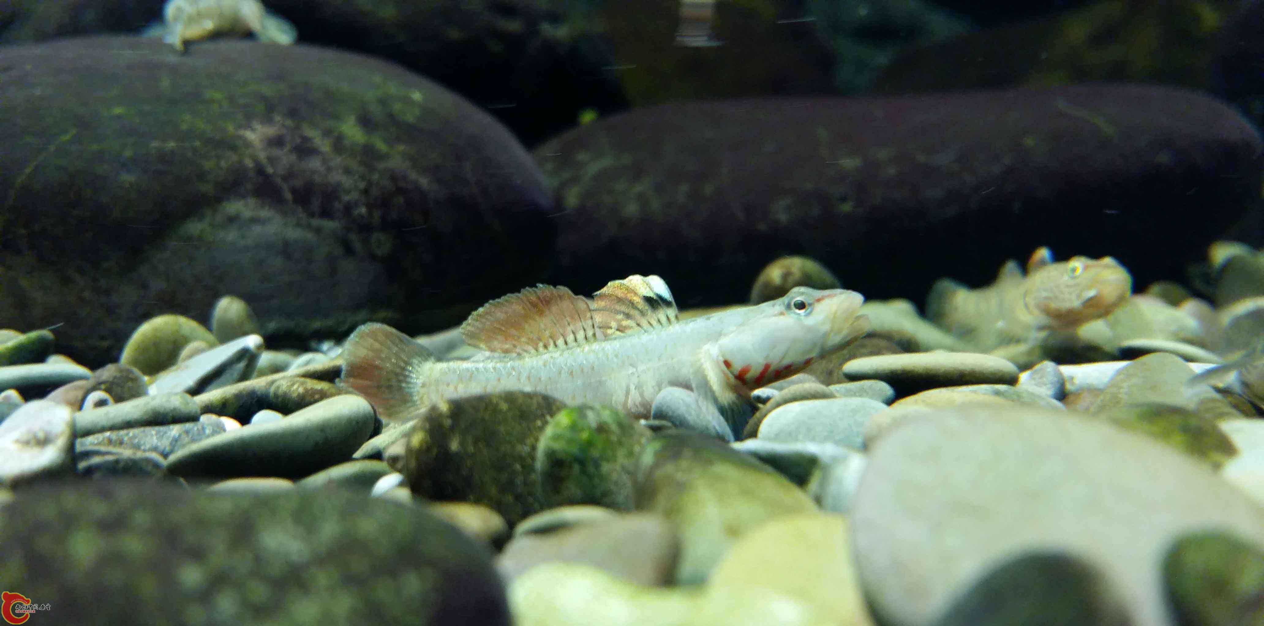 20150315_193250.jpg