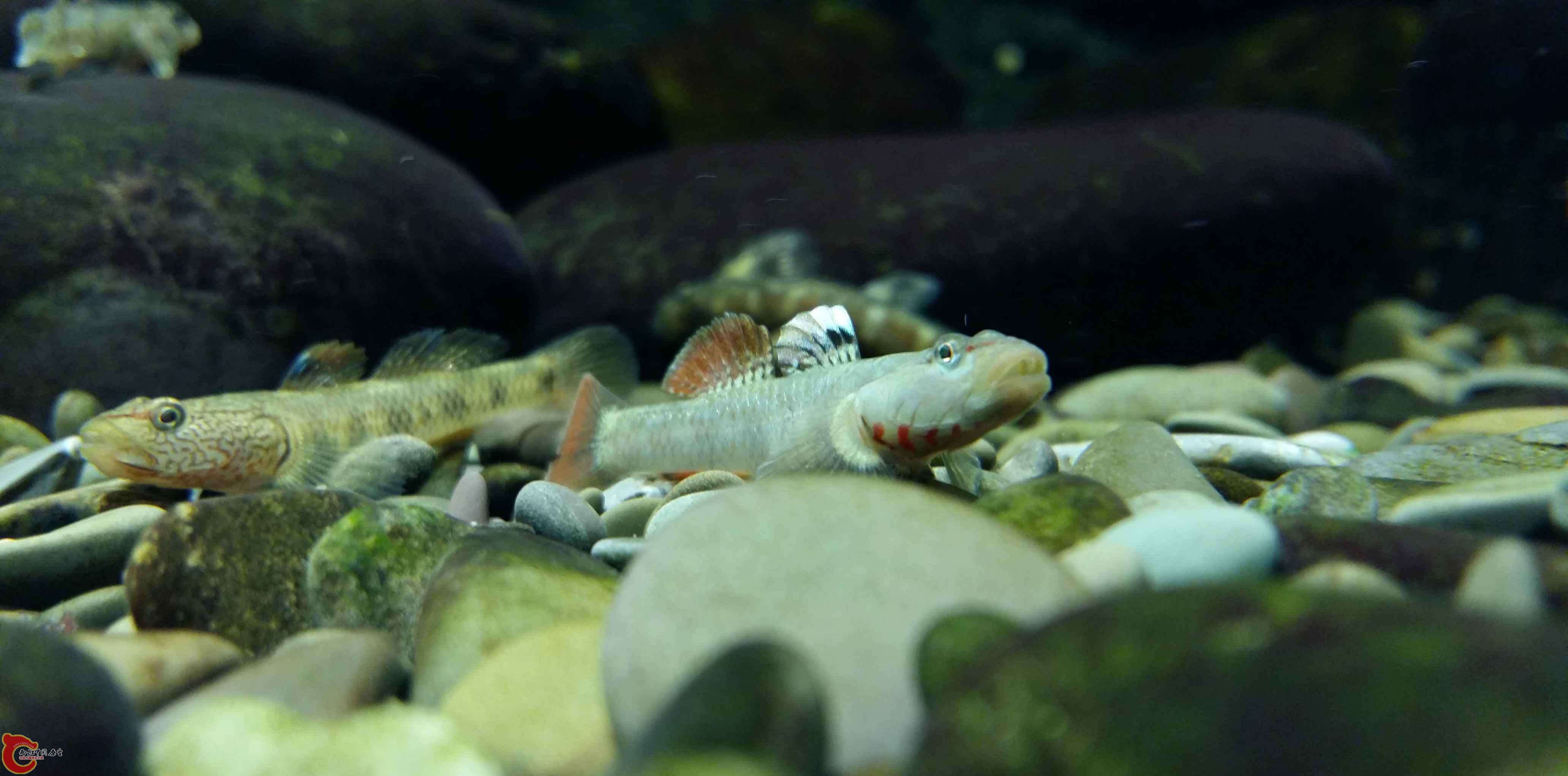 20150315_193259.jpg