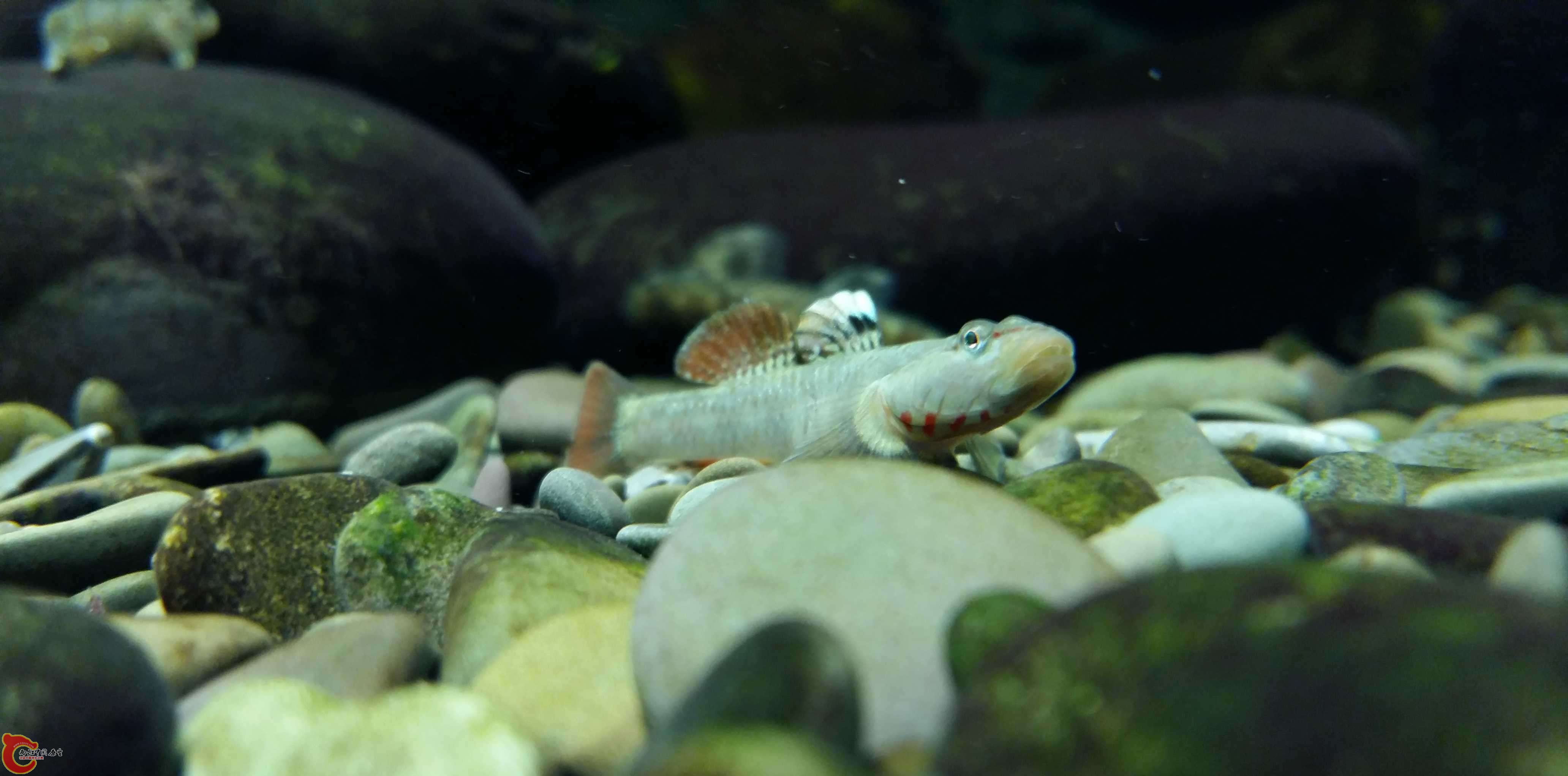 20150315_193302.jpg