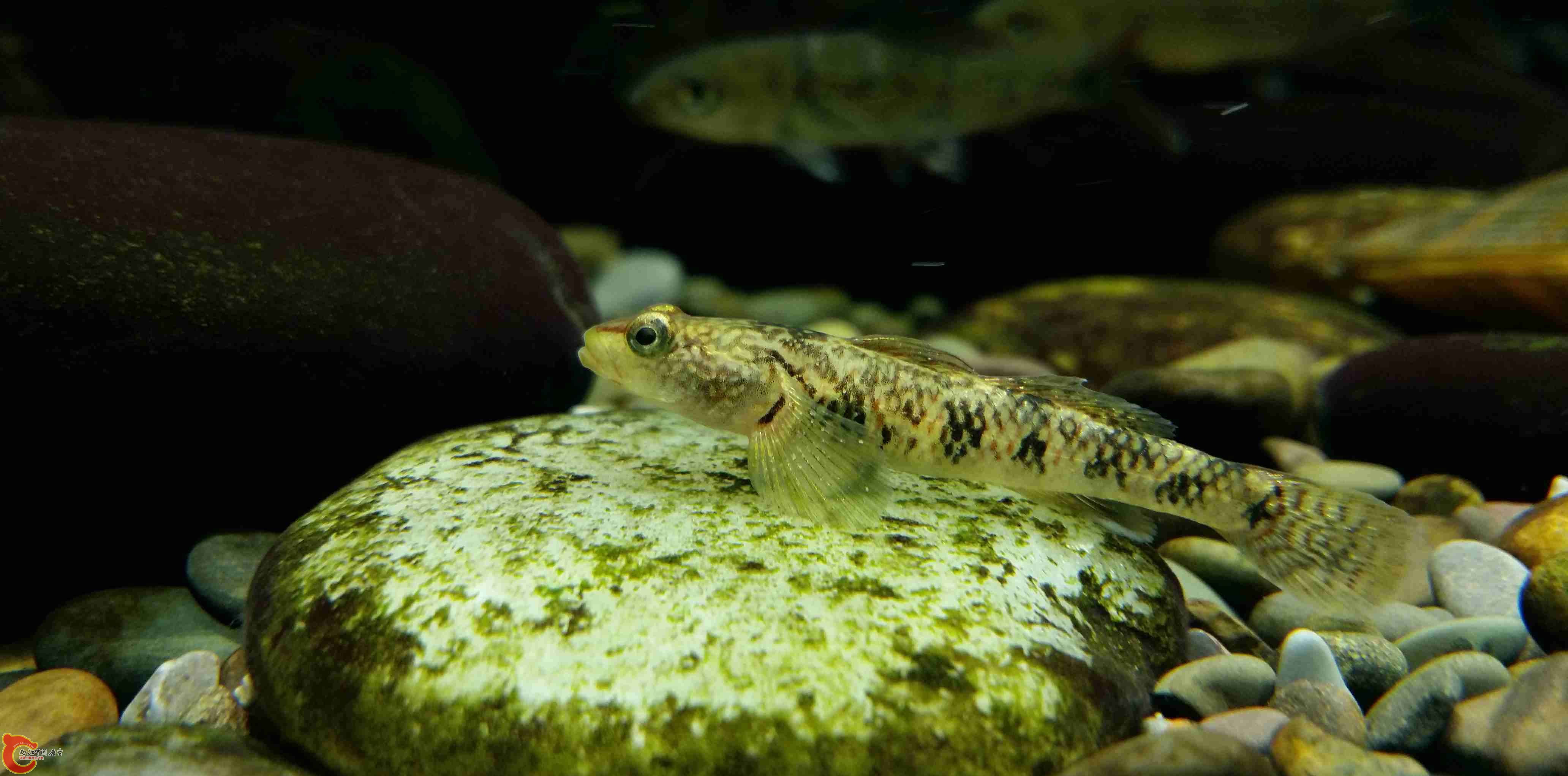 20150315_193914.jpg