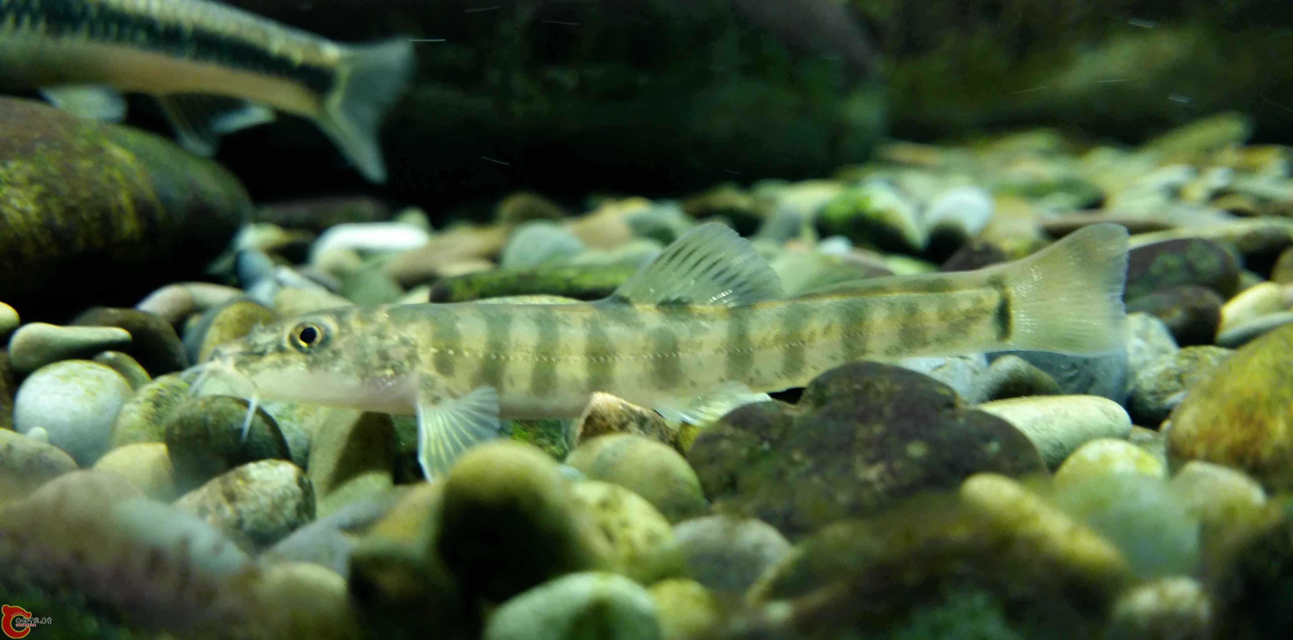 20150315_193937.jpg