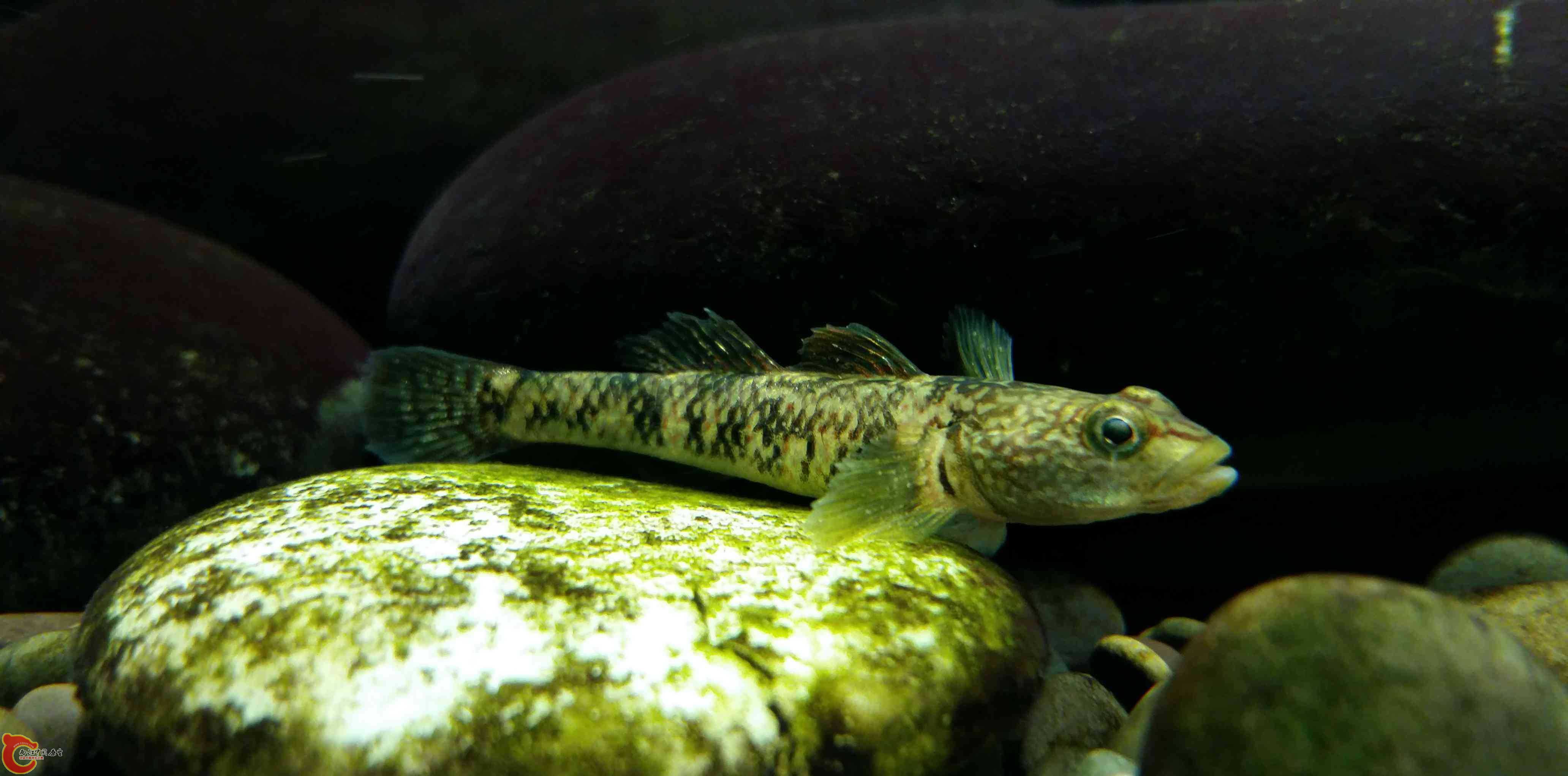 20150315_194057.jpg