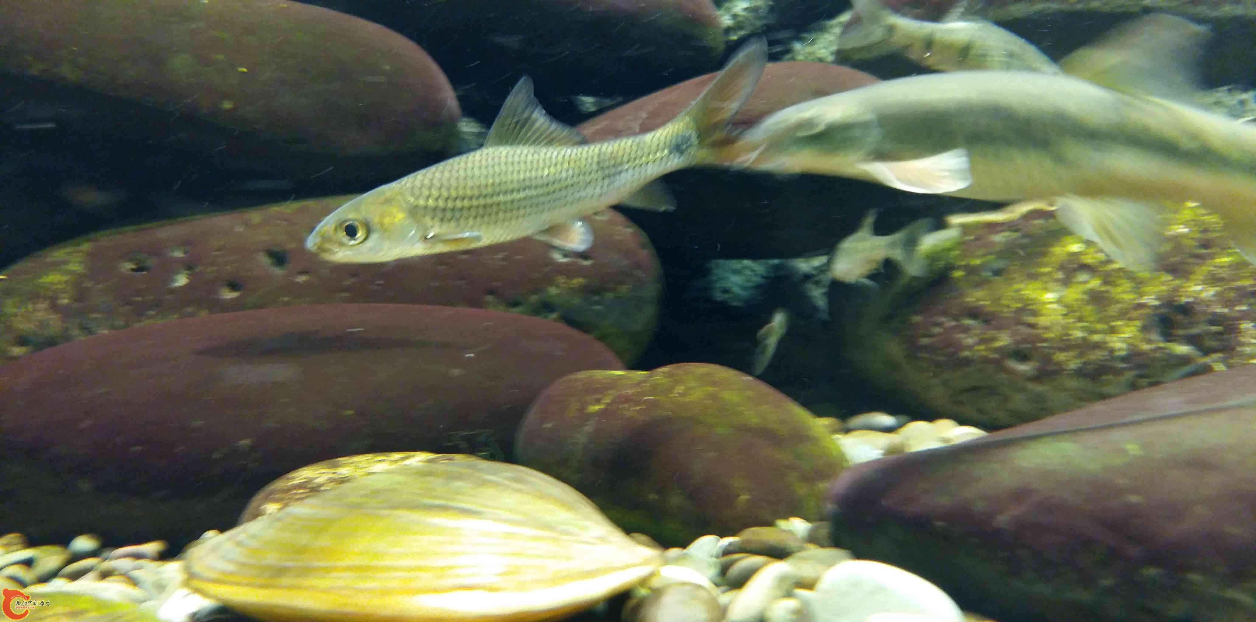 20150315_194426.jpg