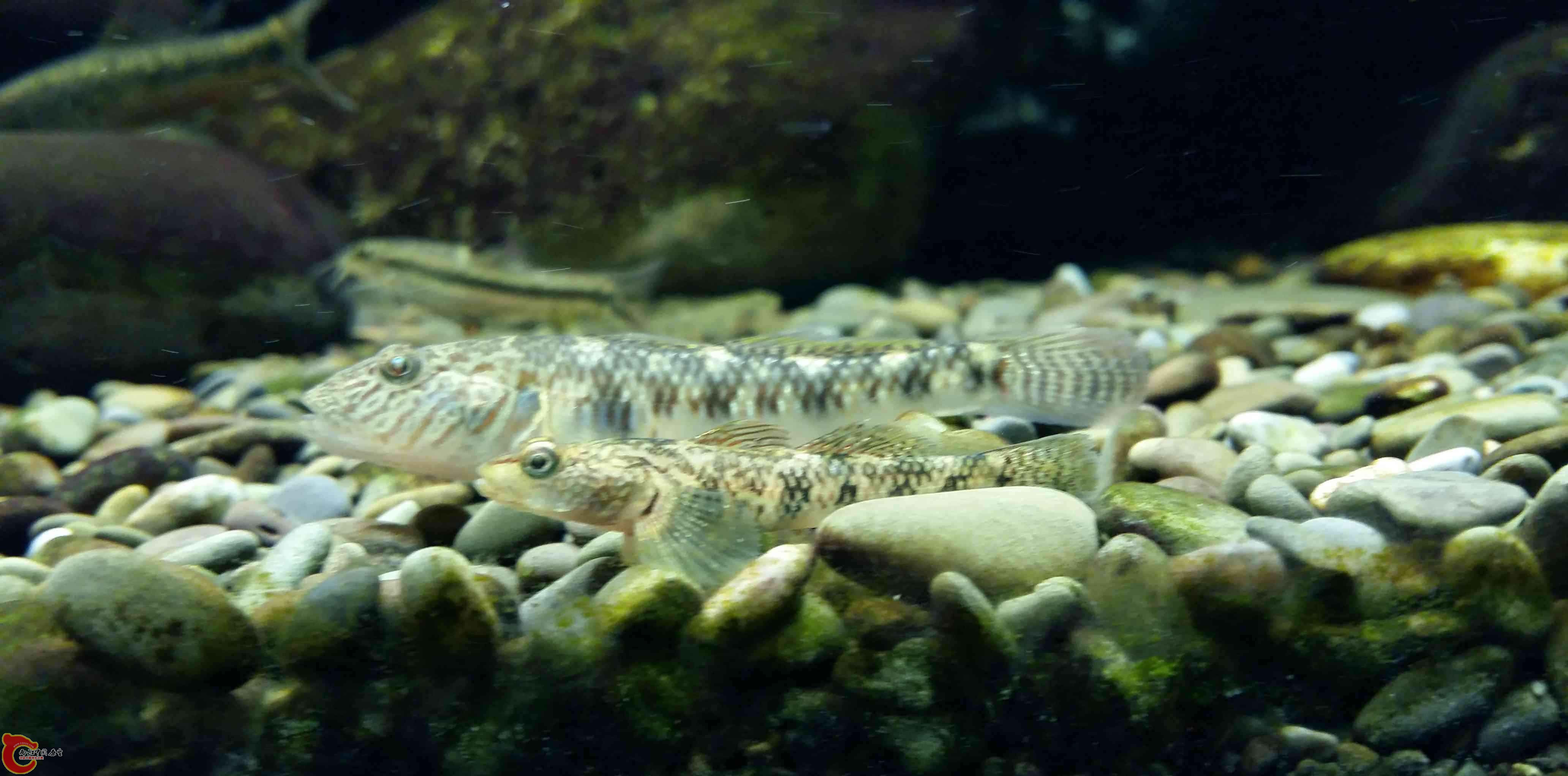 20150315_194720.jpg