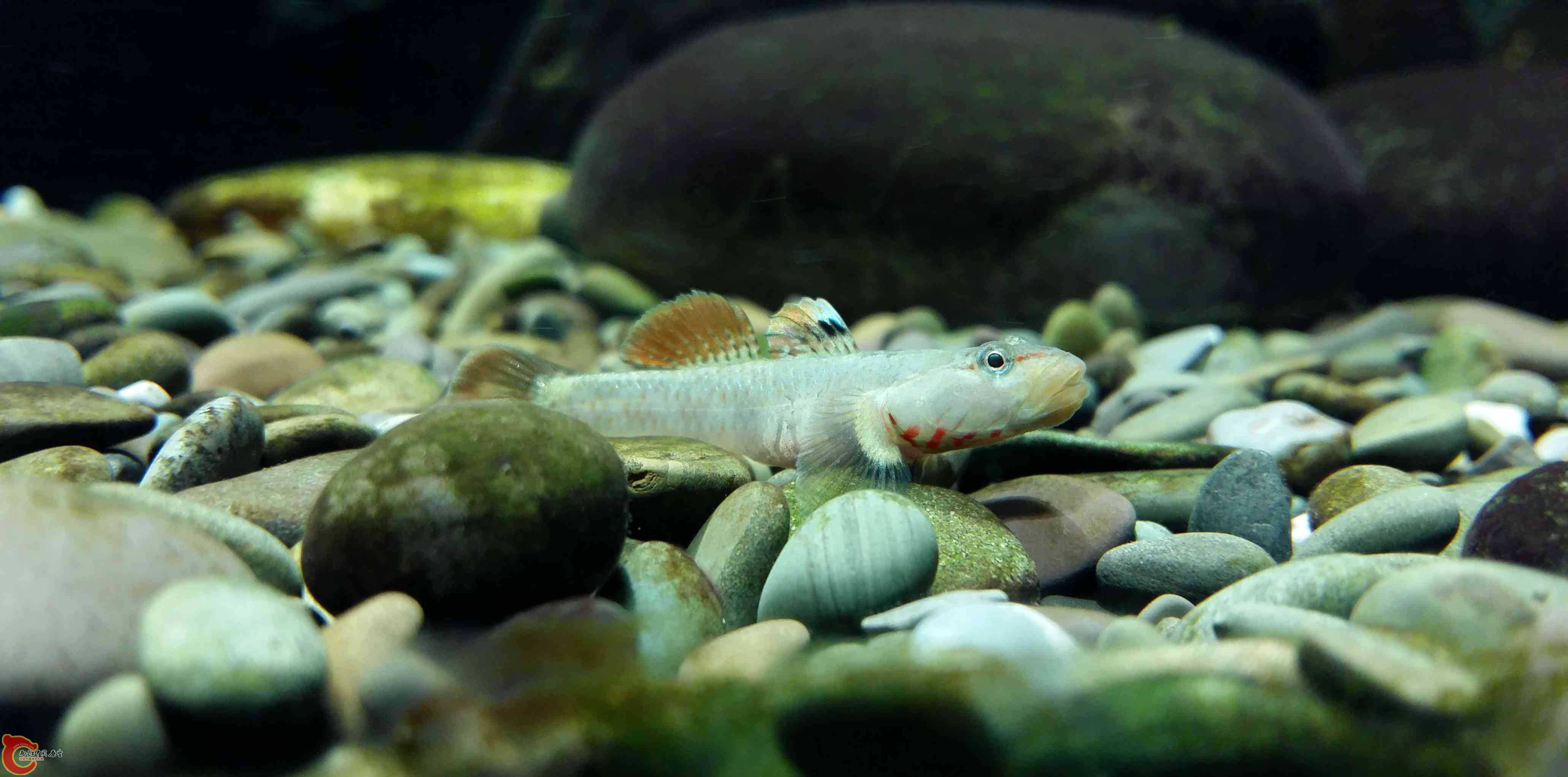 20150315_194904.jpg