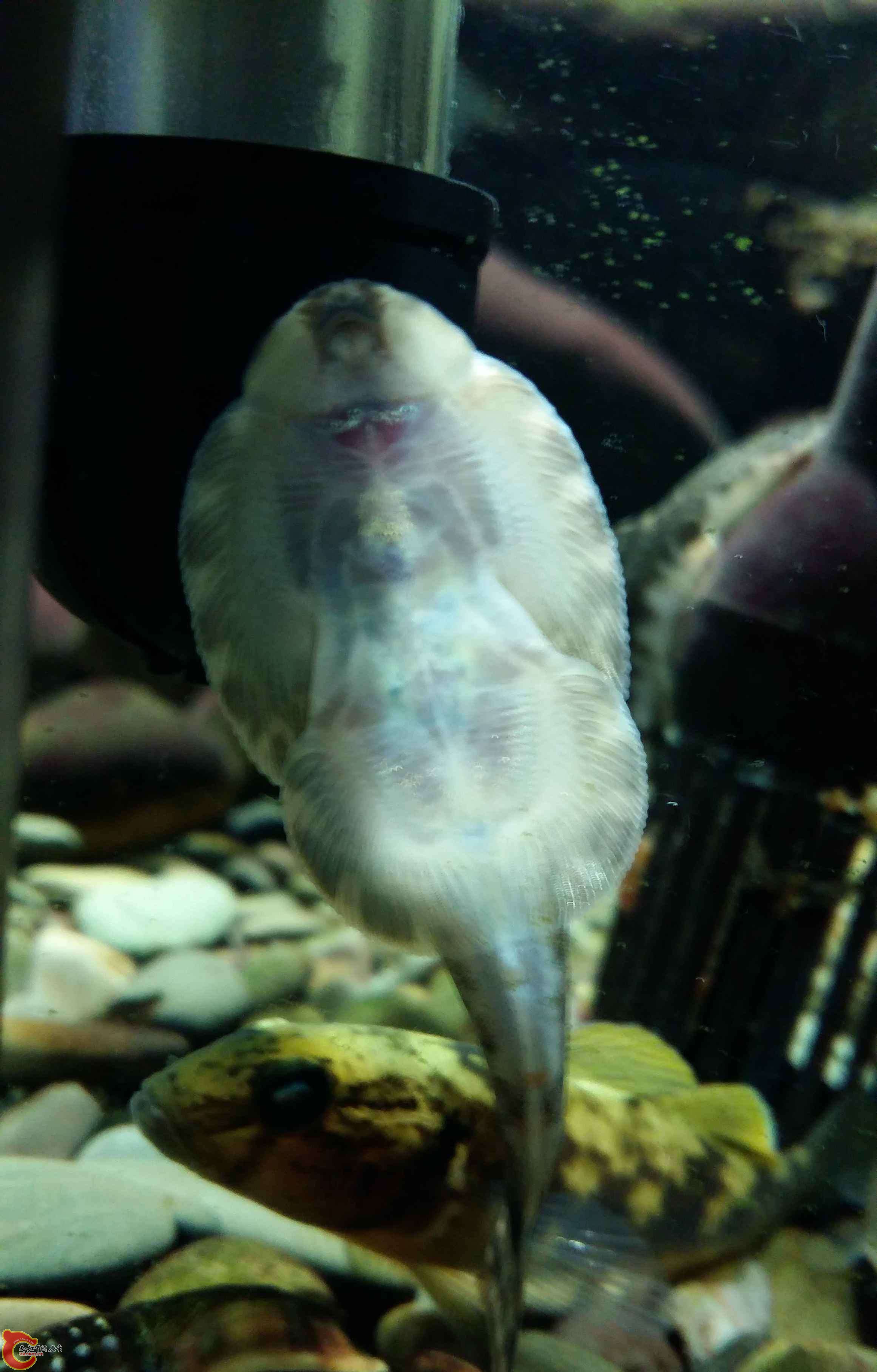 20150315_195229.jpg