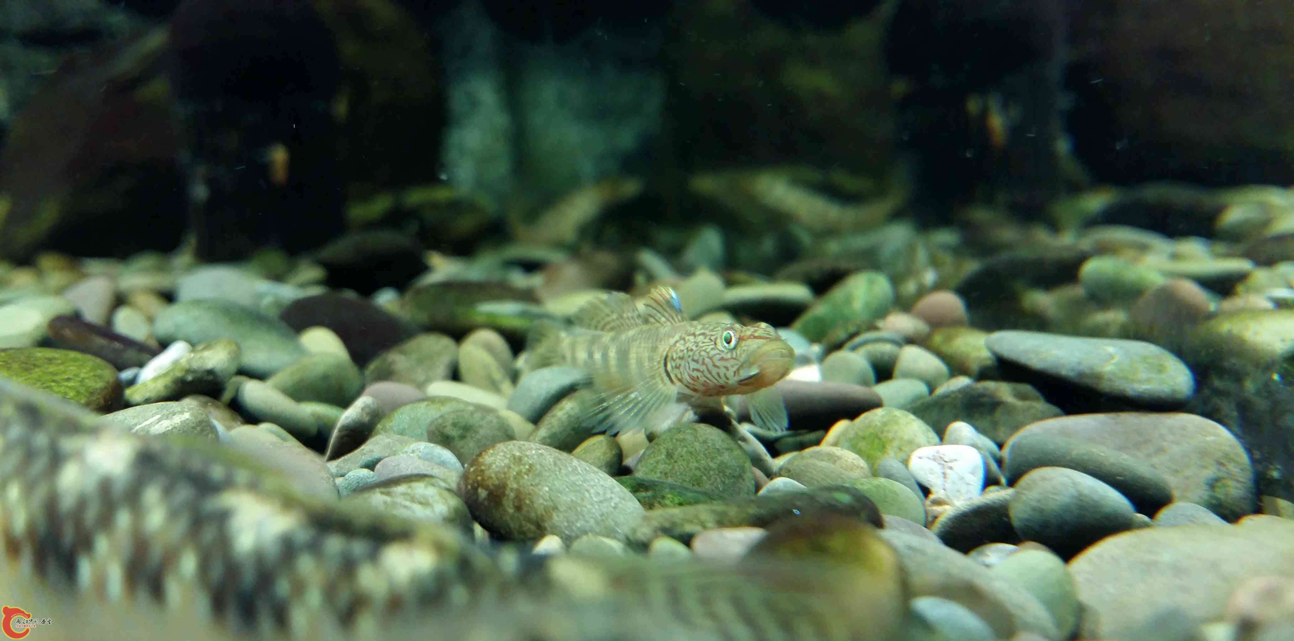 20150315_201102.jpg