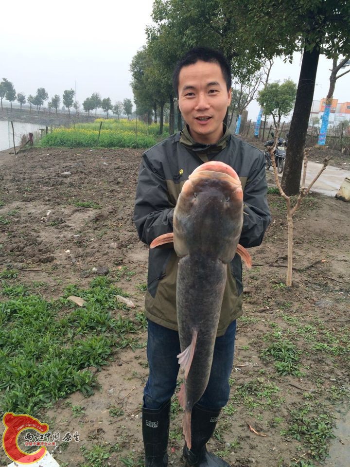 QQ图片20150316154411.jpg