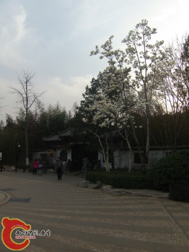 GEDC0257.JPG