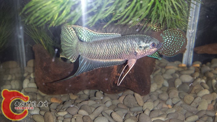 20150316_210204.jpg