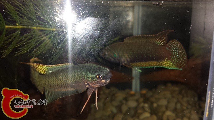 20150316_205620.jpg